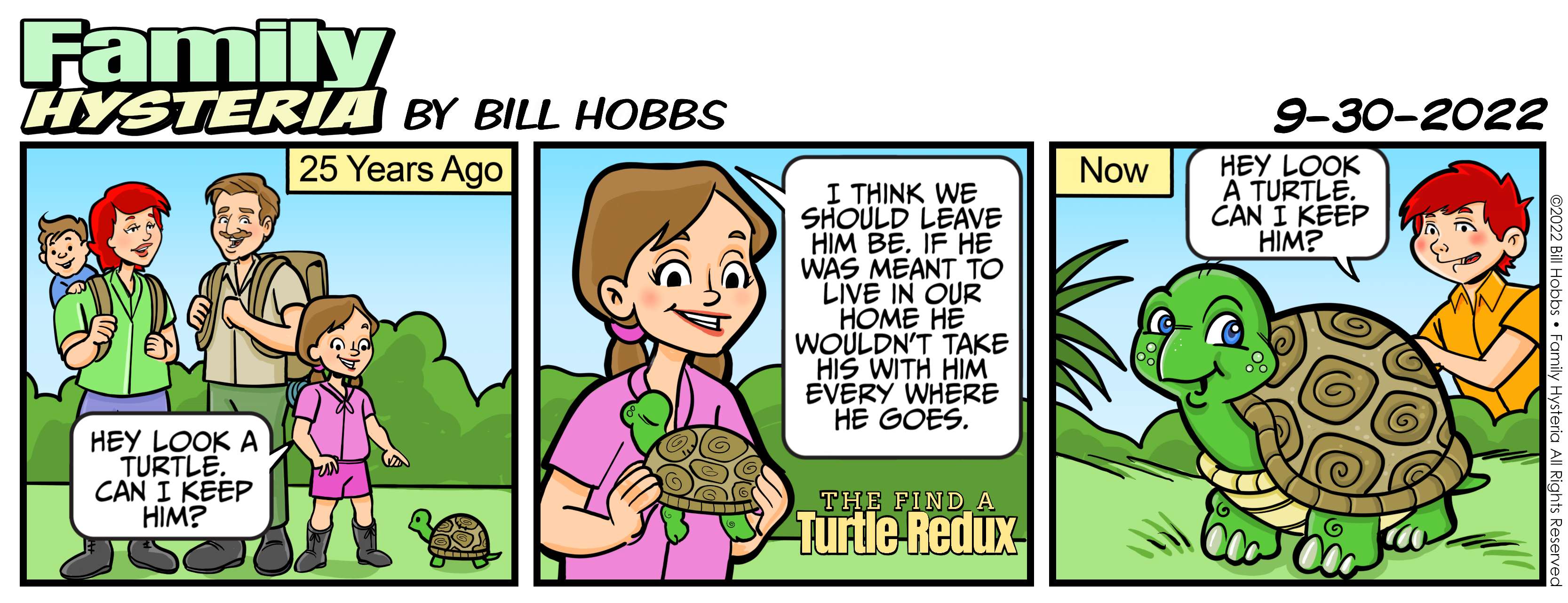 The Find A Turtle Redux