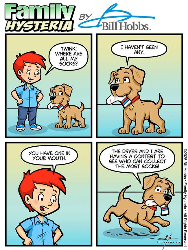 The Sock Thief